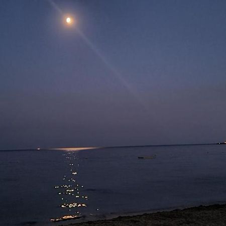 Le Tamaya Plage Charmant T2 En Rez De Jardin A 2 Pas D Une Belle Plage De Toutes Commodites Et Centre Ville Port Кавалер-сюр-Мер Экстерьер фото