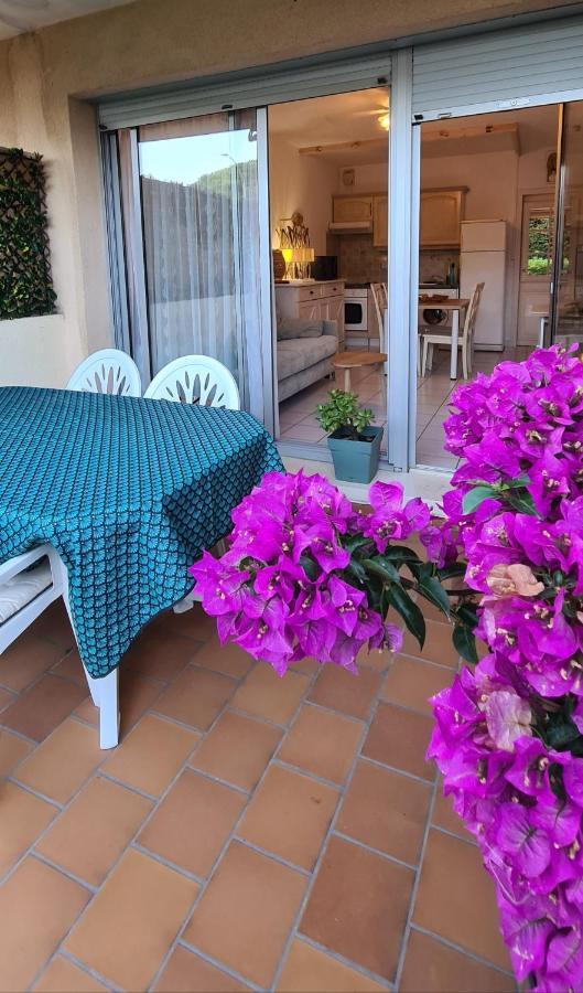 Le Tamaya Plage Charmant T2 En Rez De Jardin A 2 Pas D Une Belle Plage De Toutes Commodites Et Centre Ville Port Кавалер-сюр-Мер Экстерьер фото