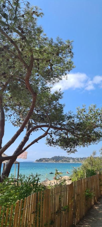 Le Tamaya Plage Charmant T2 En Rez De Jardin A 2 Pas D Une Belle Plage De Toutes Commodites Et Centre Ville Port Кавалер-сюр-Мер Экстерьер фото
